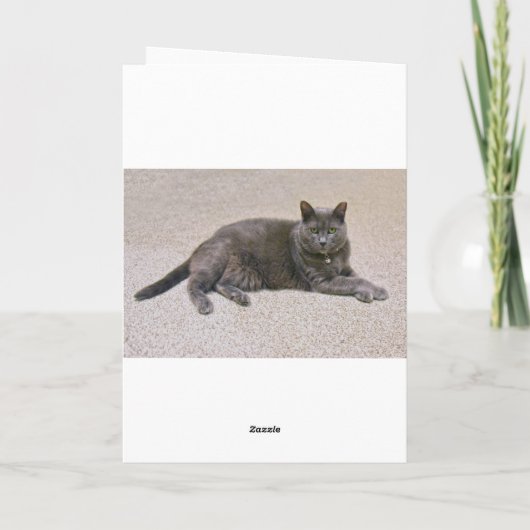 Denise, gefeliciteerd met de koningin kaart (Achterkant)