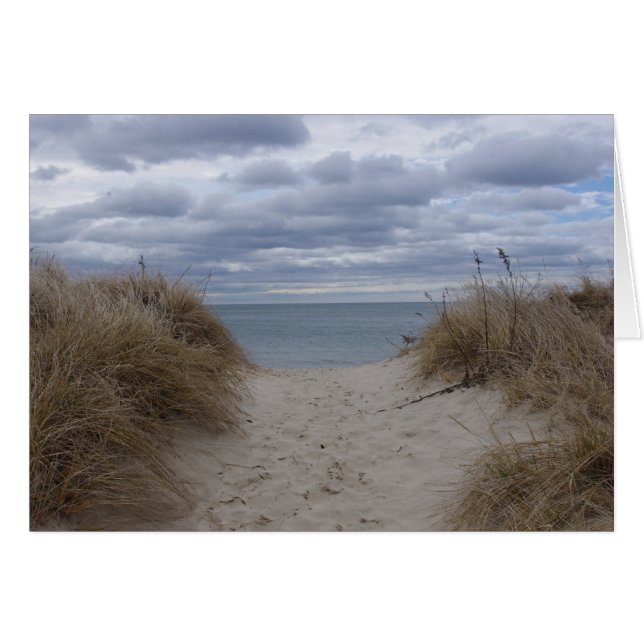 Deniseport-strand (Voorkant Horizontaal)