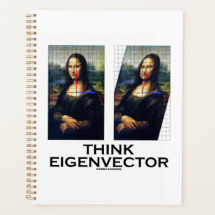 Denk aan advies over eigenvectorWiskunde Mona Lisa Planner