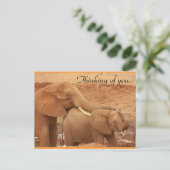 Denk aan Afrikaanse olifanten Briefkaart (Staand voorkant)