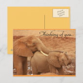 Denk aan Afrikaanse olifanten Briefkaart (Voorkant / Achterkant)