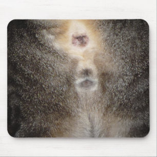 Denk aan Cat Mousepad. Muismat