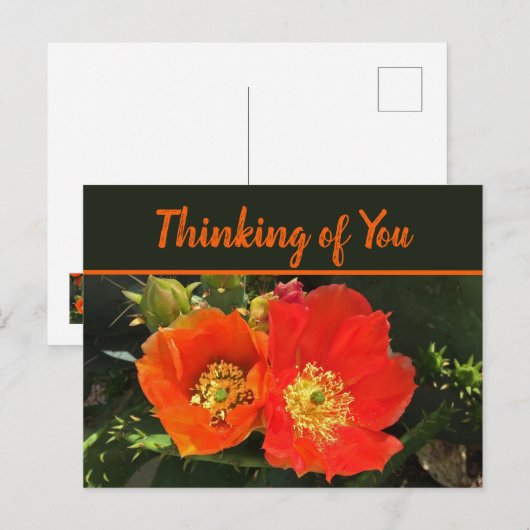 Denk aan de Duurzame Bloom Fotocactus Flower Briefkaart (Voorkant / Achterkant)