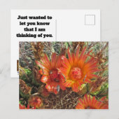 Denk aan de foto van uw Oranje, donkere cactus. Briefkaart (Voorkant / Achterkant)