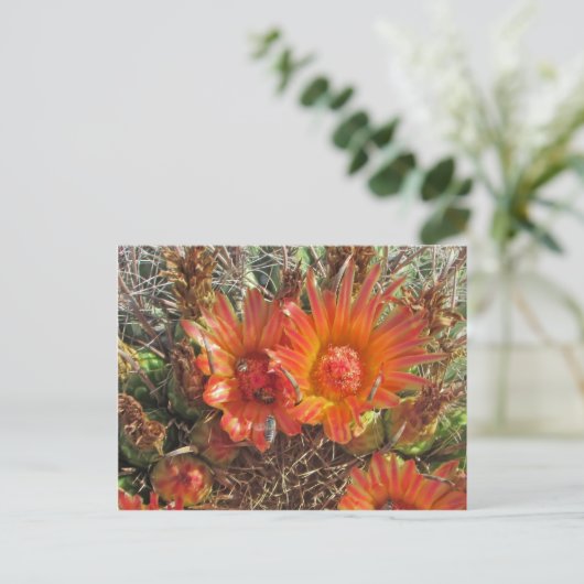 Denk aan de foto van uw Oranje, donkere cactus. Briefkaart (Staand voorkant)