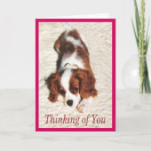 Denk aan de koning Charles Spaniel Puppy Kaart (Voorkant)