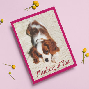 Denk aan de koning Charles Spaniel Puppy Kaart