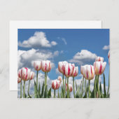 Denk aan de lente. briefkaart (Voorkant / Achterkant)