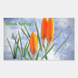 Denk aan de lente. Crocus Flower Thru Snow Rechthoekige Sticker