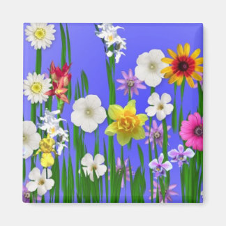 Denk aan de lente magneet
