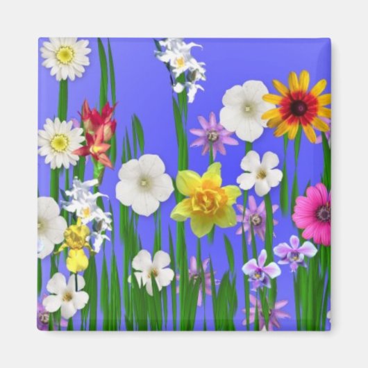 Denk aan de lente magneet (Voorkant)