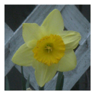 Denk aan de lente! perfect poster