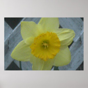 Denk aan de lente! poster