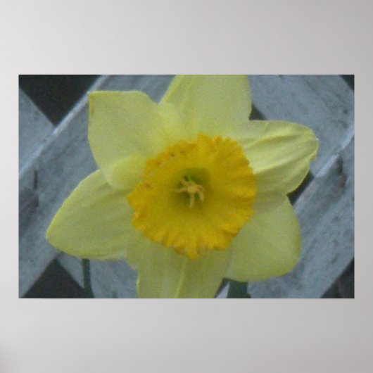 Denk aan de lente! poster (Voorkant)