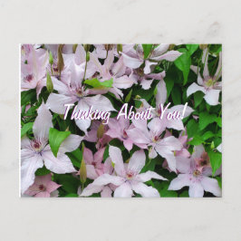 Denk aan de paarse bloemen van Clematis Briefkaart