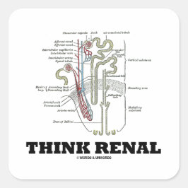 Denk aan de Renale (Nephron Anatomy Illustration) Vierkante Sticker