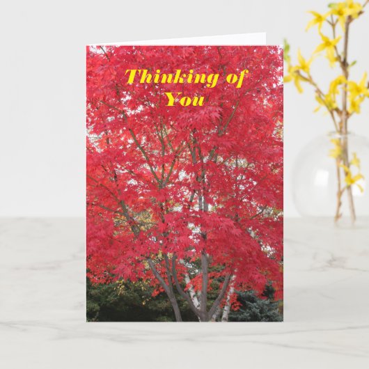 Denk aan de rode val-bladeren kaart (Gele Bloem)