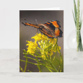 Denk aan de Tortoiseshel Butterfly van je Milbert Kaart (Voorkant)