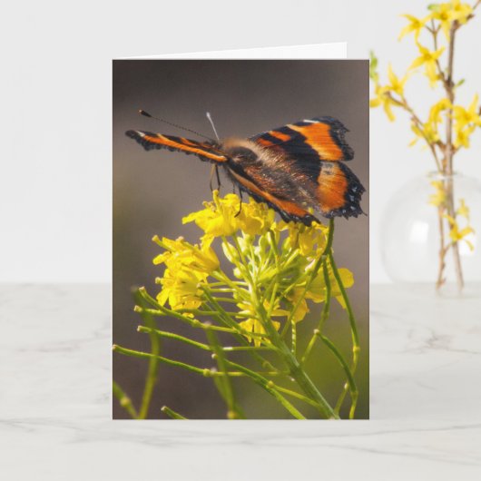 Denk aan de Tortoiseshel Butterfly van je Milbert Kaart (Gele Bloem)