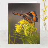 Denk aan de tortoiseshel vlinder van Milbert. Kaart (Gele Bloem)