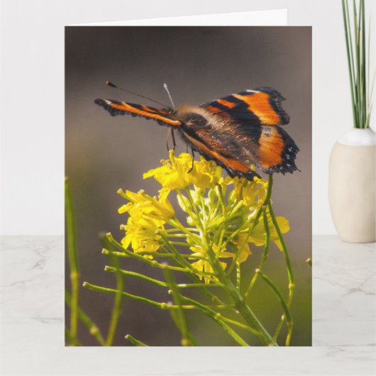 Denk aan de tortoiseshel vlinder van Milbert. Kaart (Voorkant)