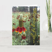 Denk aan de Upright Prairie Coneflower foto Kaart (Voorkant)