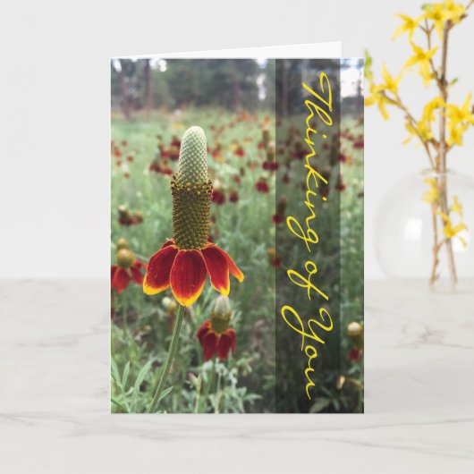 Denk aan de Upright Prairie Coneflower foto Kaart (Gele Bloem)