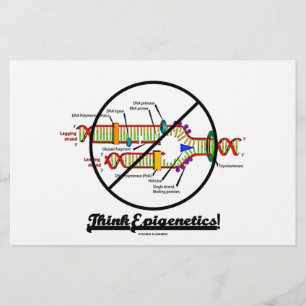 Denk aan Epigenetica! (DNA-replicatie uitsteken)