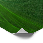 Denk aan Groen Inspirerend Poster (Hoek)