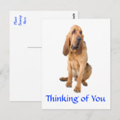 Denk aan het Briefkaart van de bloedhond. (Voorkant / Achterkant)