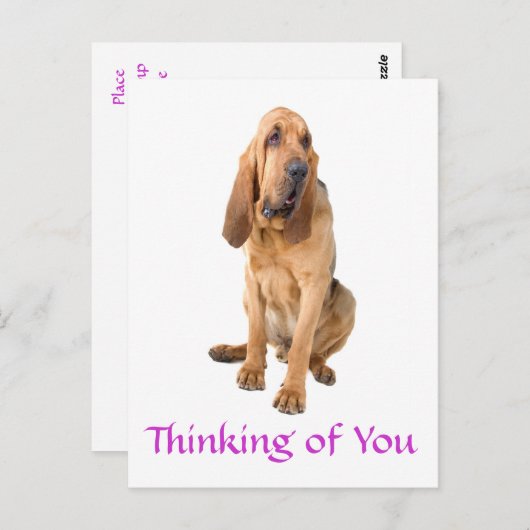 Denk aan het Briefkaart van de bloedhond. (Voorkant / Achterkant)