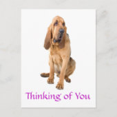 Denk aan het Briefkaart van de bloedhond. (Voorkant)