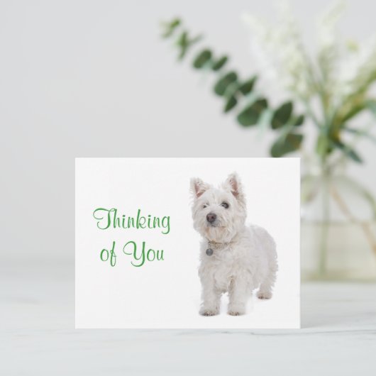 Denk aan het Briefkaart van de Grote Meren van de  (Staand voorkant)