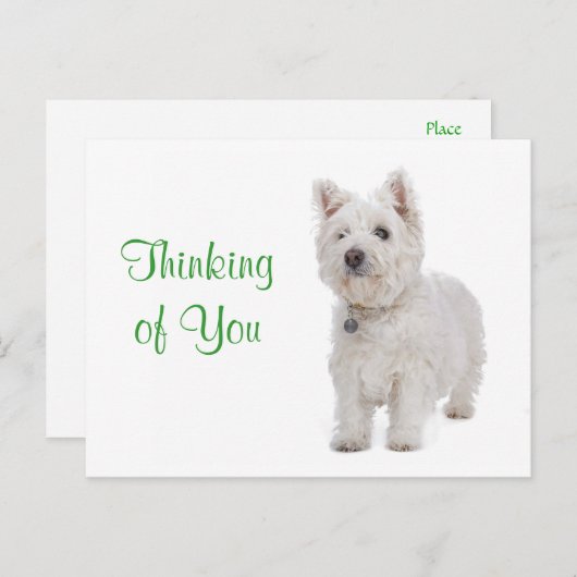 Denk aan het Briefkaart van de Grote Meren van de  (Voorkant / Achterkant)