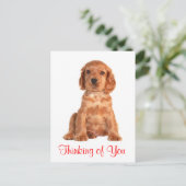 Denk aan het Briefkaart van je Cocker Spaniel Pupp (Staand voorkant)