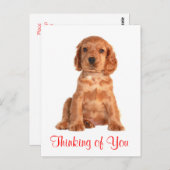 Denk aan het Briefkaart van je Cocker Spaniel Pupp (Voorkant / Achterkant)