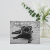 Denk aan het Briefkaart van je pug Puppy Dog (Staand voorkant)