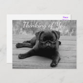 Denk aan het Briefkaart van je pug Puppy Dog (Voorkant / Achterkant)