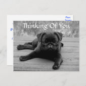 Denk aan het Briefkaart van uw pug-puppy Dog (Vers (Voorkant / Achterkant)