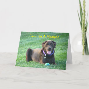 Denk aan het Labrador Retriever Wenskaart Kaart