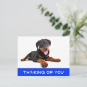 Denk aan het Rottweiler Puppy Dog Briefkaart (Staand voorkant)