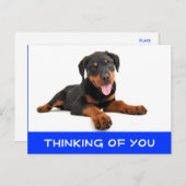 Denk aan het Rottweiler Puppy Dog Briefkaart (Voorkant / Achterkant)