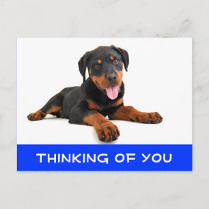 Denk aan het Rottweiler Puppy Dog Briefkaart