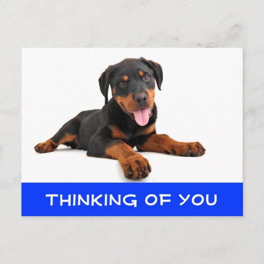 Denk aan het Rottweiler Puppy Dog Briefkaart (Voorkant)