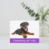 Denk aan het Rottweiler Puppy Dog Briefkaart (Staand voorkant)