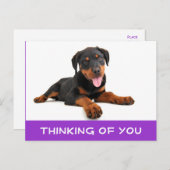 Denk aan het Rottweiler Puppy Dog Briefkaart (Voorkant / Achterkant)
