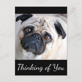Denk aan het zwarte Briefkaart van je pug-puppy Do