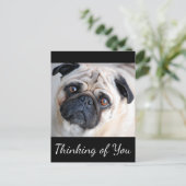 Denk aan het zwarte Briefkaart van je pug-puppy Do (Staand voorkant)