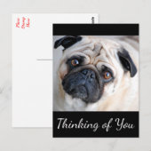 Denk aan het zwarte Briefkaart van je pug-puppy Do (Voorkant / Achterkant)