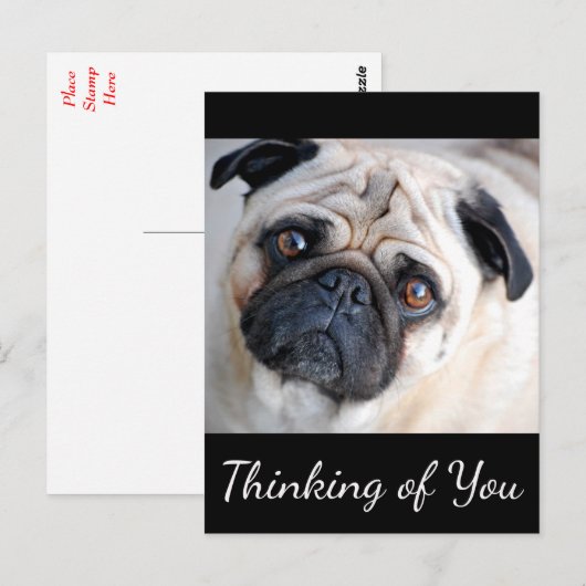 Denk aan het zwarte Briefkaart van je pug-puppy Do (Voorkant / Achterkant)